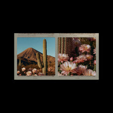 20-film-frames-overlays-pixelbuddha-17.jpg