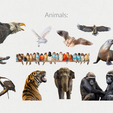 250+ Elements - Collage Creator Pack
