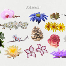 250+ Elements - Collage Creator Pack