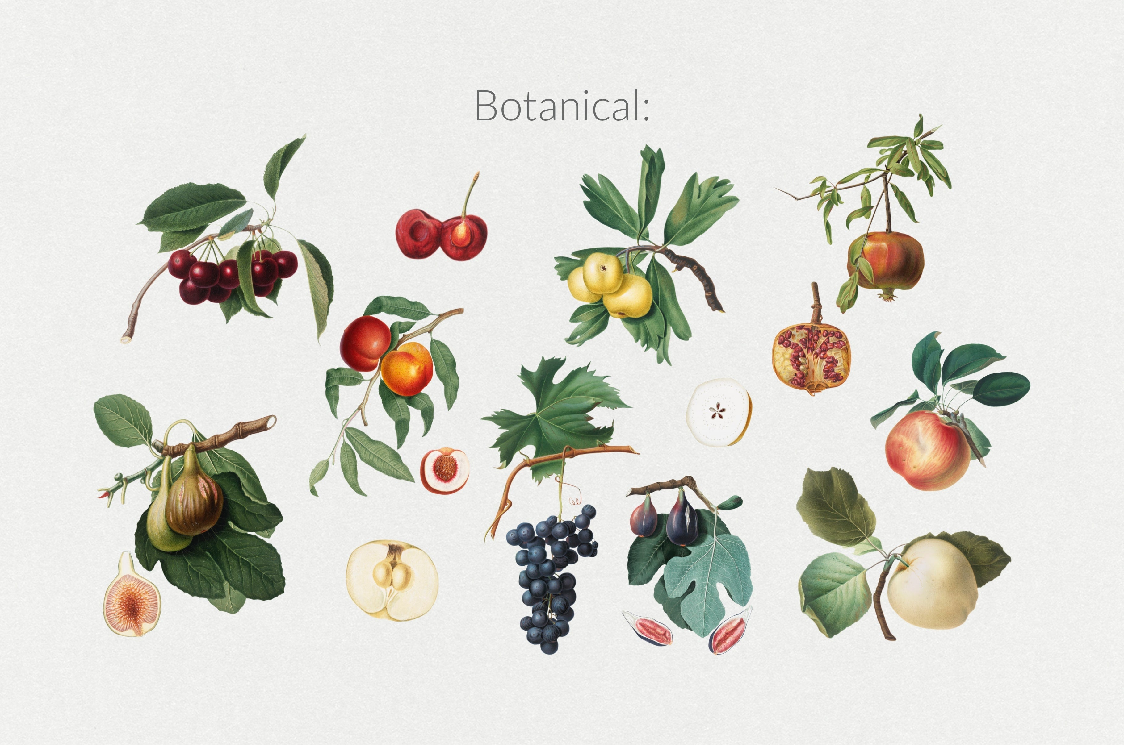 250+ Elements - Collage Creator Pack