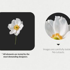 250+ Elements - Collage Creator Pack