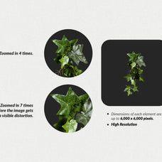 250+ Elements - Collage Creator Pack