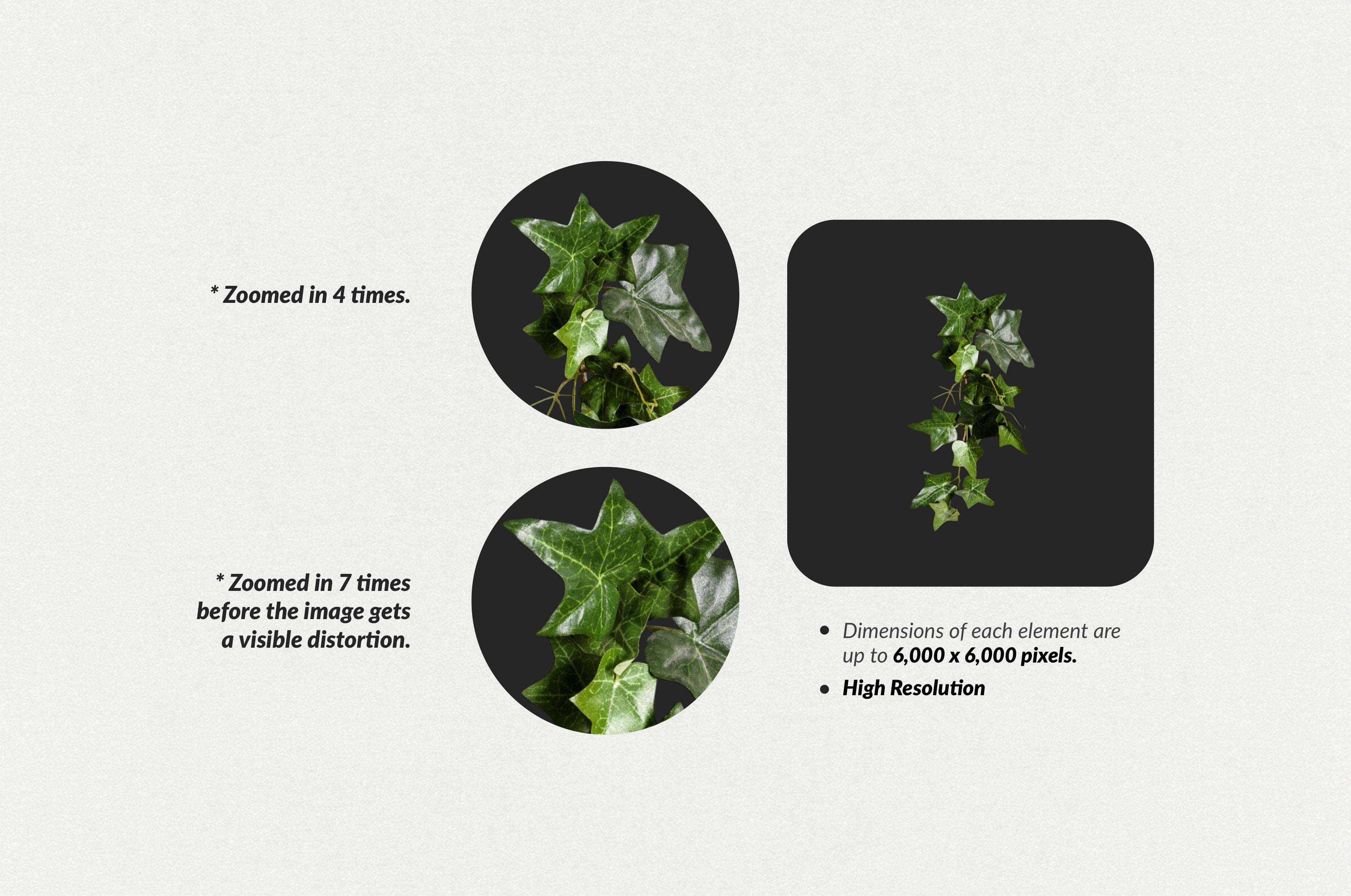 250+ Elements - Collage Creator Pack