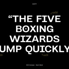 403 Grotesk