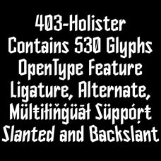 403 Holister
