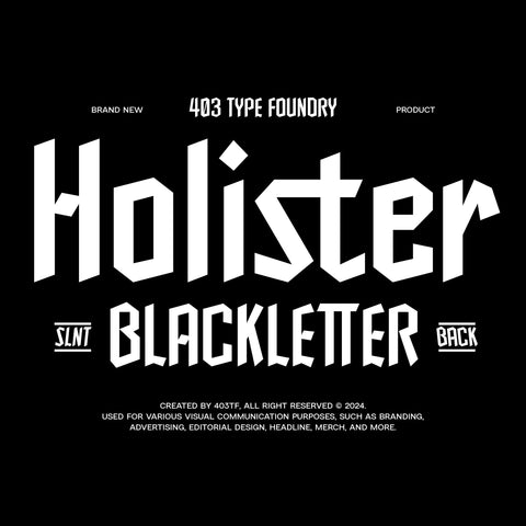 403 Holister