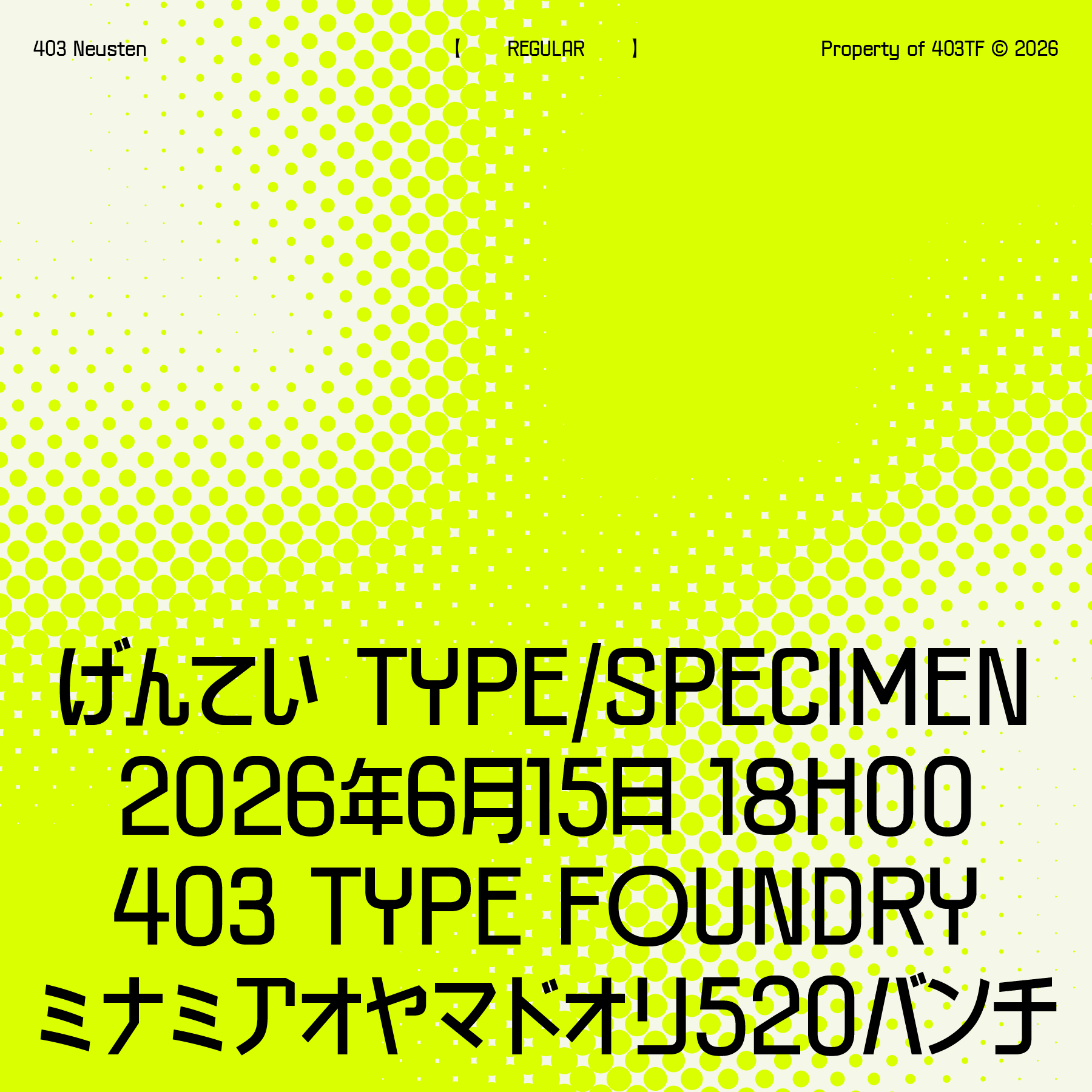 403-neusten-403tf-2.png