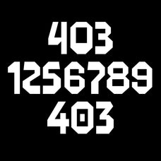 403 Technul