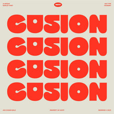 403 Cusion - 403TF 1.jpg