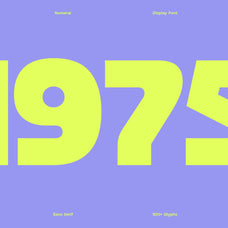 403 Fest - 403TF 1.png