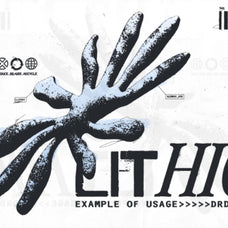 50-premium-lithic-graphic-elements-built-for-professional-design-production-drdlstudio-3.jpg