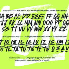 ATOMIC Marker Font + Extras - Set Sail Studios 1.jpg