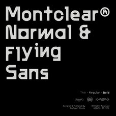 AT Montclear Versatile Font with Dynamic Styles - Any-Type® Foundry 1.jpg