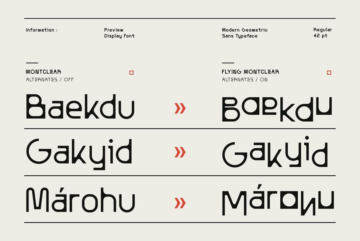 AT Montclear Versatile Font with Dynamic Styles - Any-Type® Foundry 5.jpg