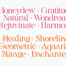 Adelia Mixable Serif - Set Sail Studios 1.jpg