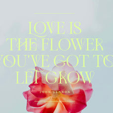 Adelia Mixable Serif - Set Sail Studios 1.jpg