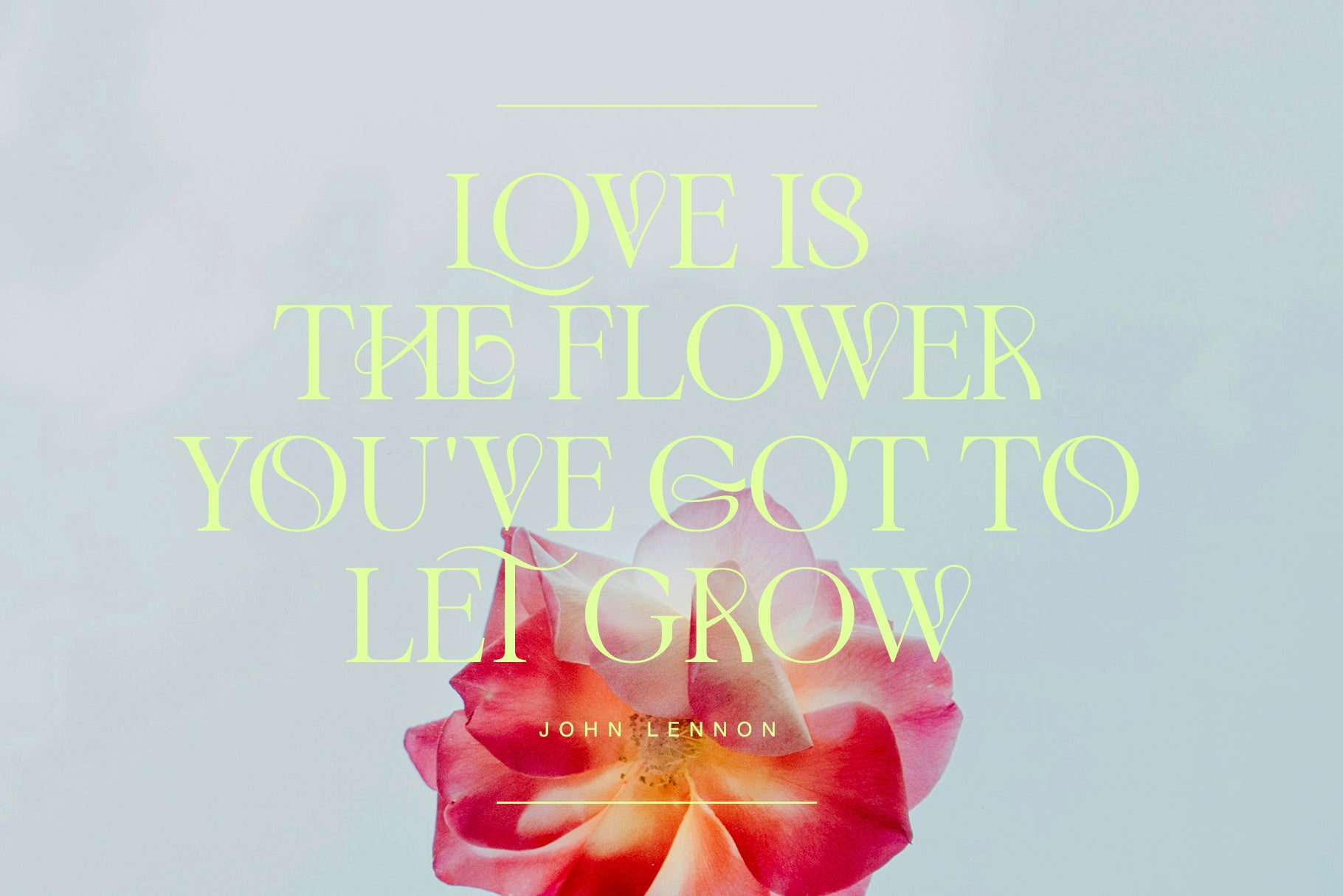 Adelia Mixable Serif - Set Sail Studios 1.jpg