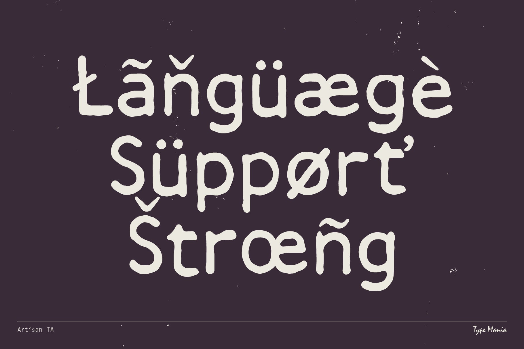 Artisan TM - Type Mania 3.jpg