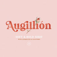 Augillion - Soft Bold Serif