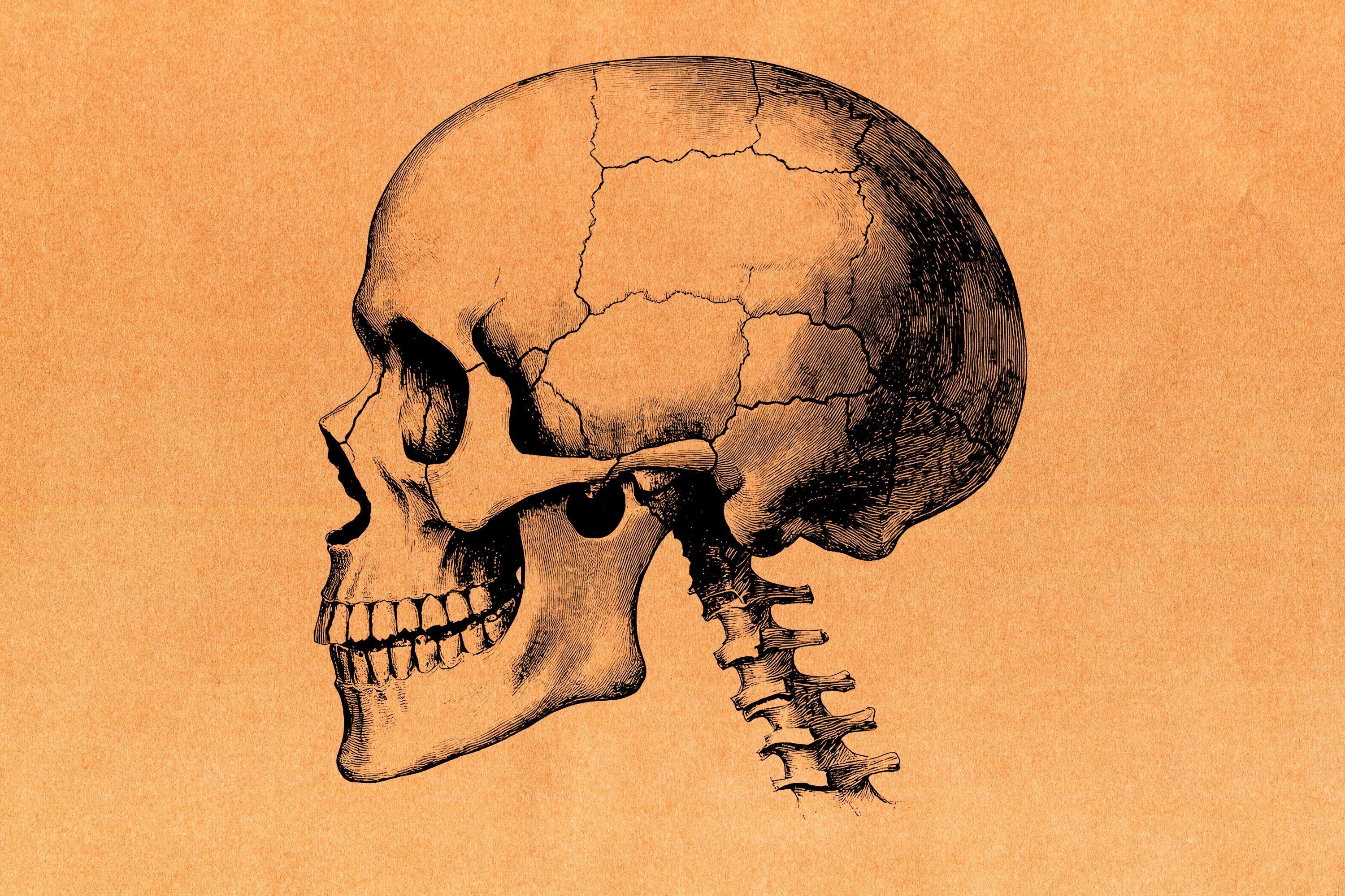 Authentic Kraft Paper Textures - Pixelbuddha 8.jpg