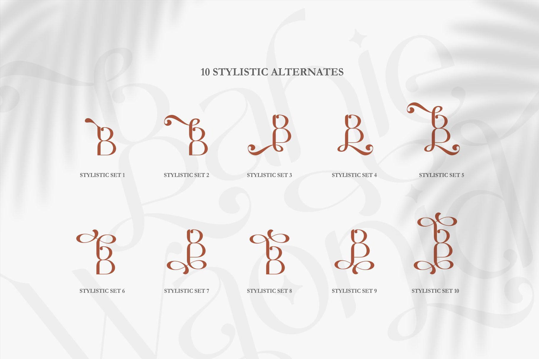 BAHIE WAONID - Enxyclo Studio 1.jpg