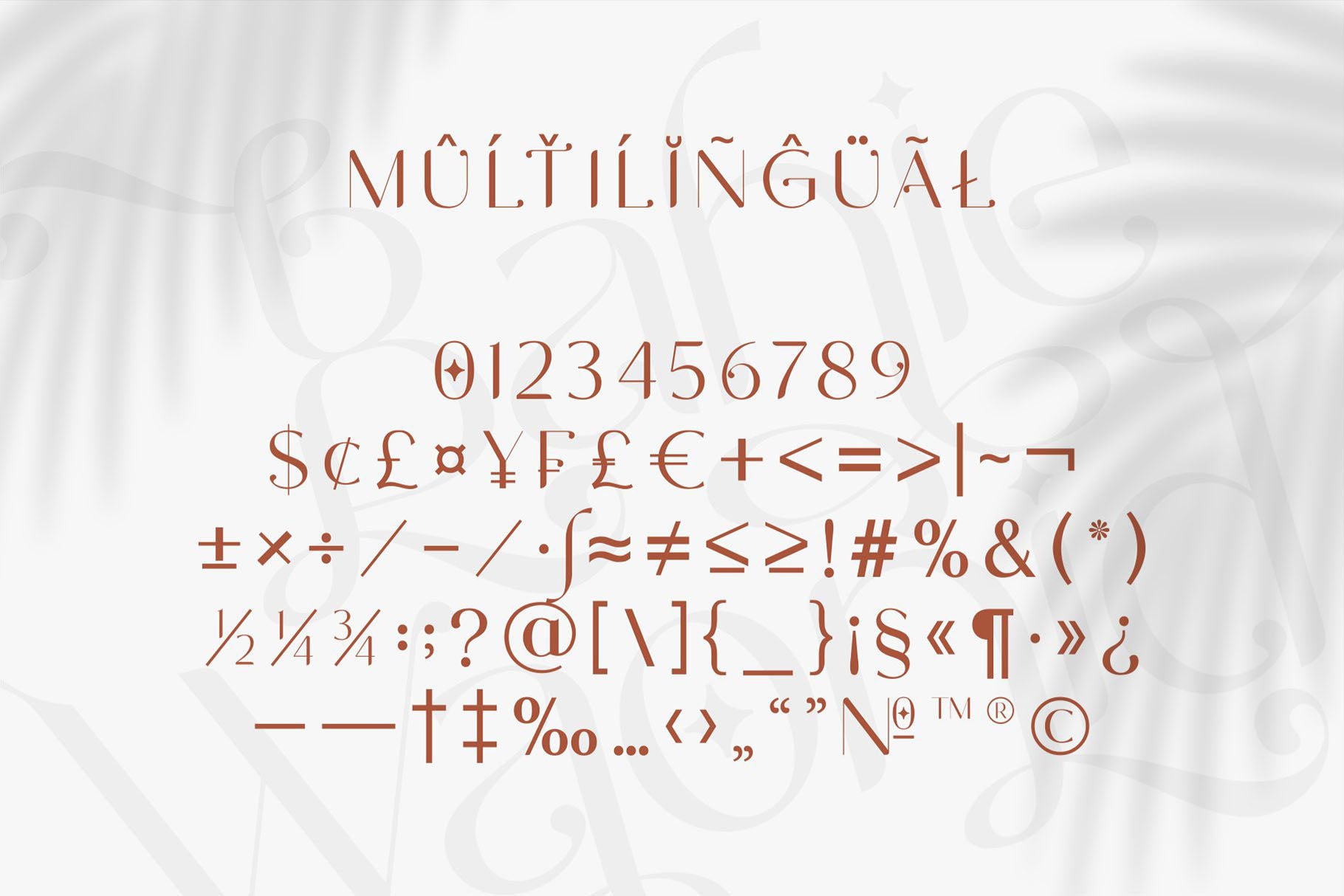 BAHIE WAONID - Enxyclo Studio 1.jpg