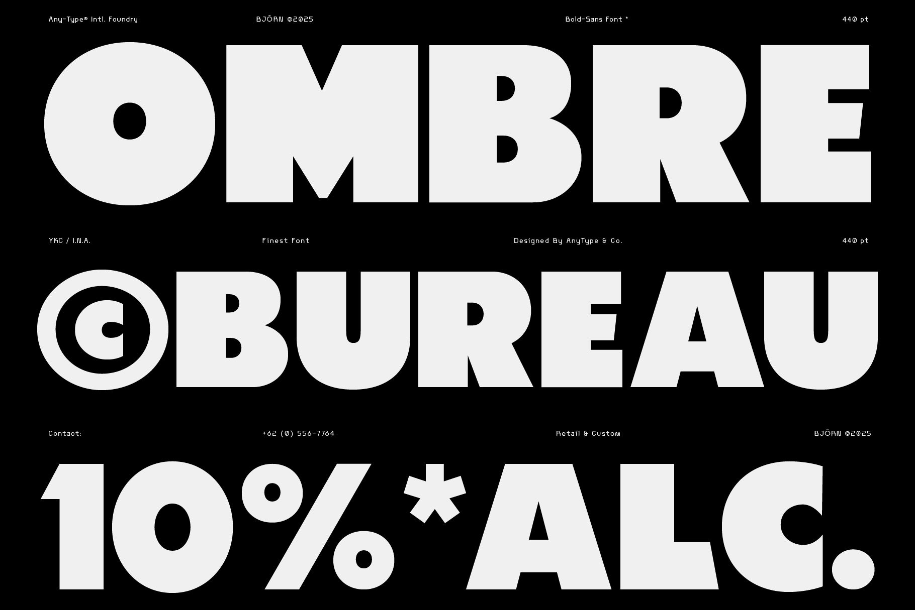BJÖRN Bold Sans Serif - Any-Type® Foundry 1.jpg