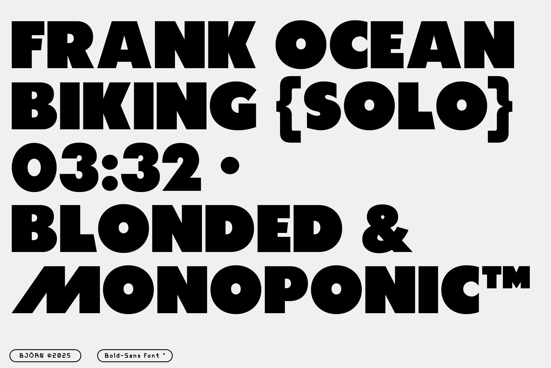 BJÖRN Bold Sans Serif - Any-Type® Foundry 1.jpg