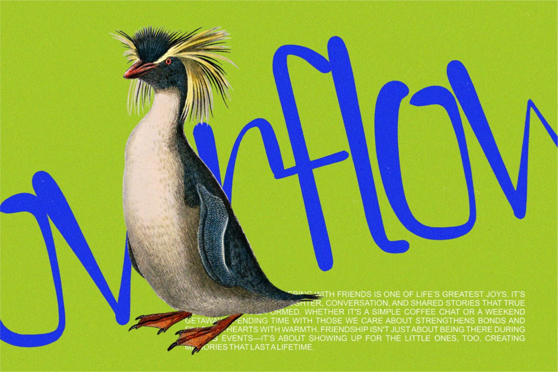 BROWA VARGE - Enxyclo Studio 1.png