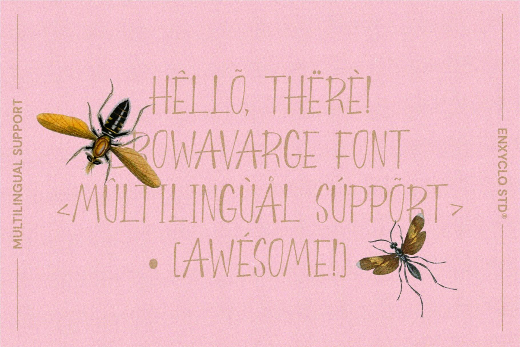 BROWA VARGE - Enxyclo Studio 1.png