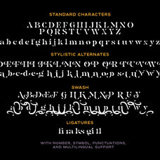 Billy Magie - Stylish Stencil Serif - Sarid Ezra 8.jpg