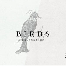 Birds Illustrations - Nomad Visuals 1.jpg