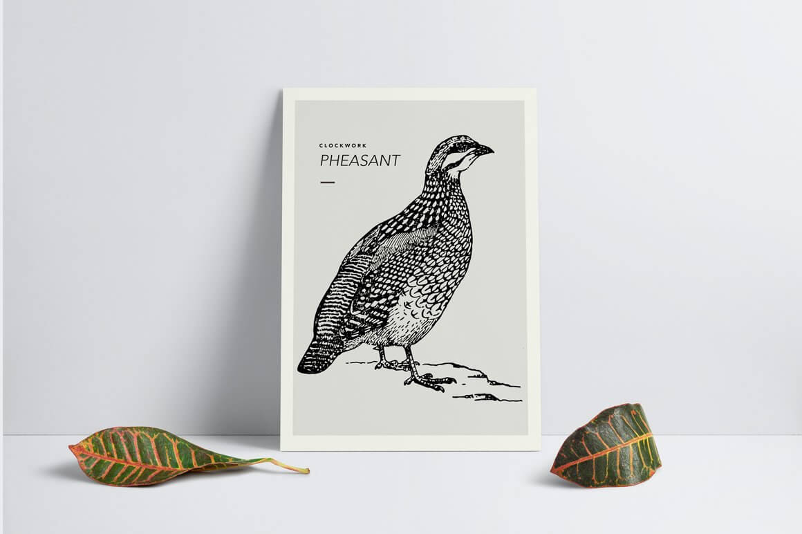 Birds Illustrations - Nomad Visuals 2.jpg