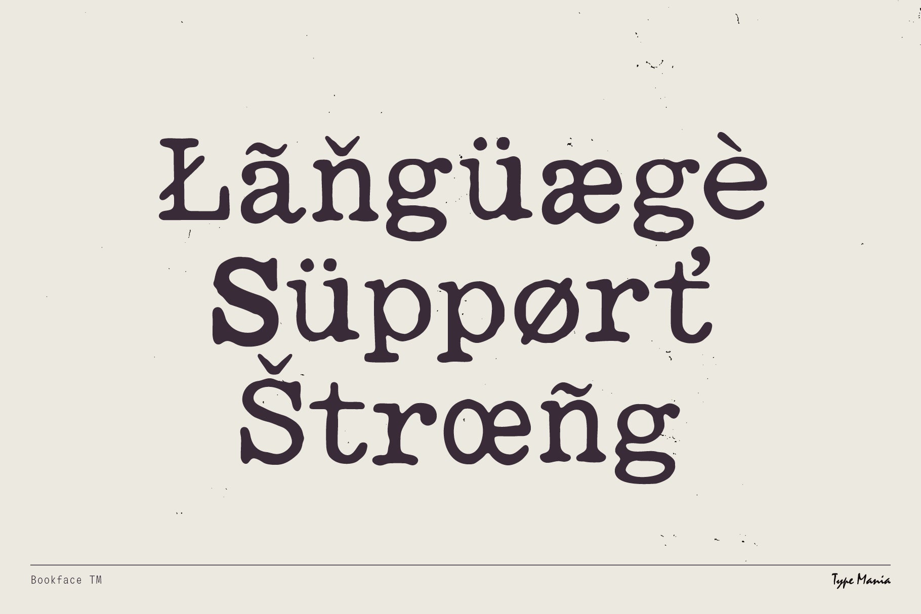 Bookface TM - Type Mania 4.jpg