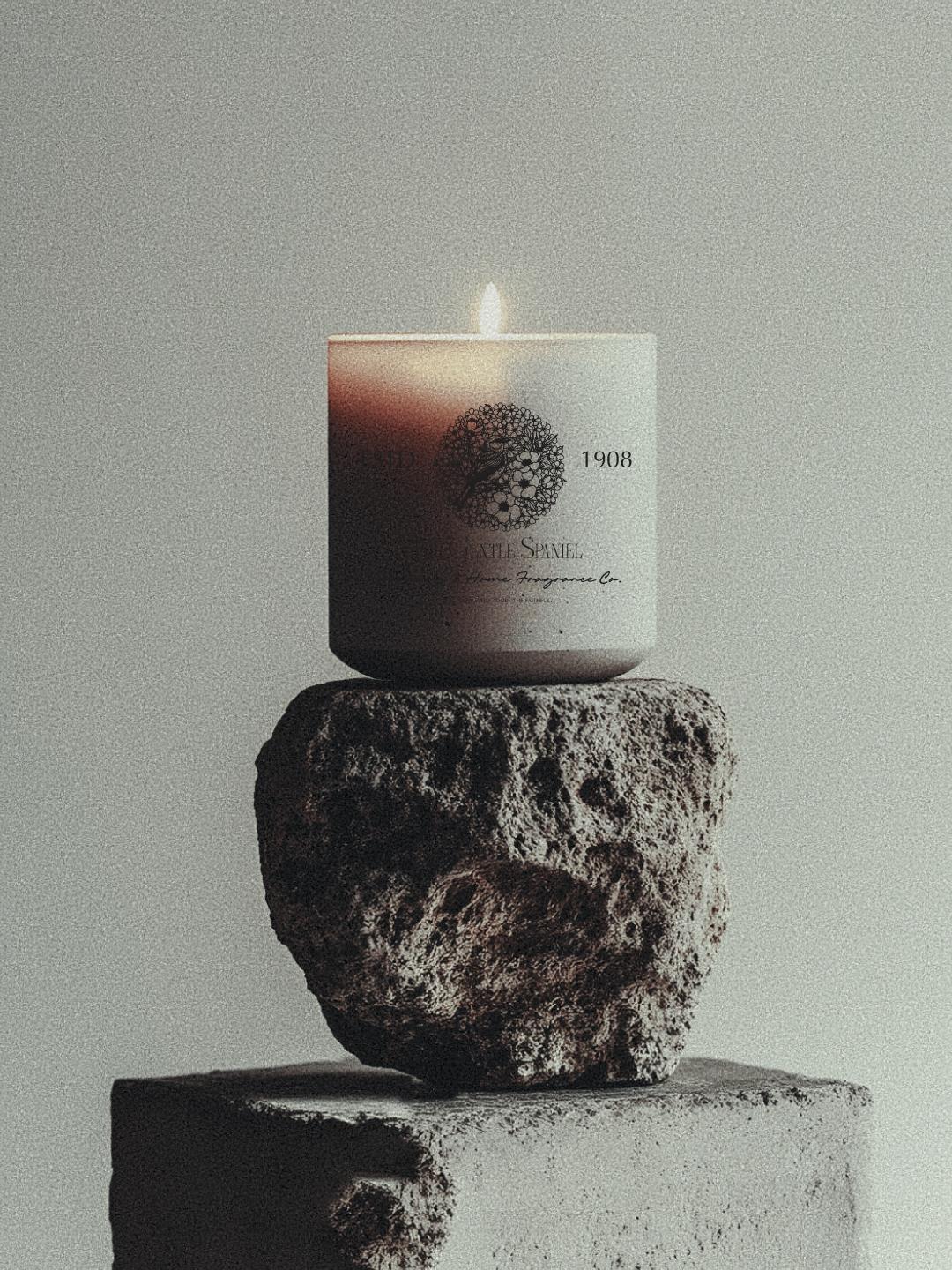 Botanical Engravings - AiahHassn 2.png