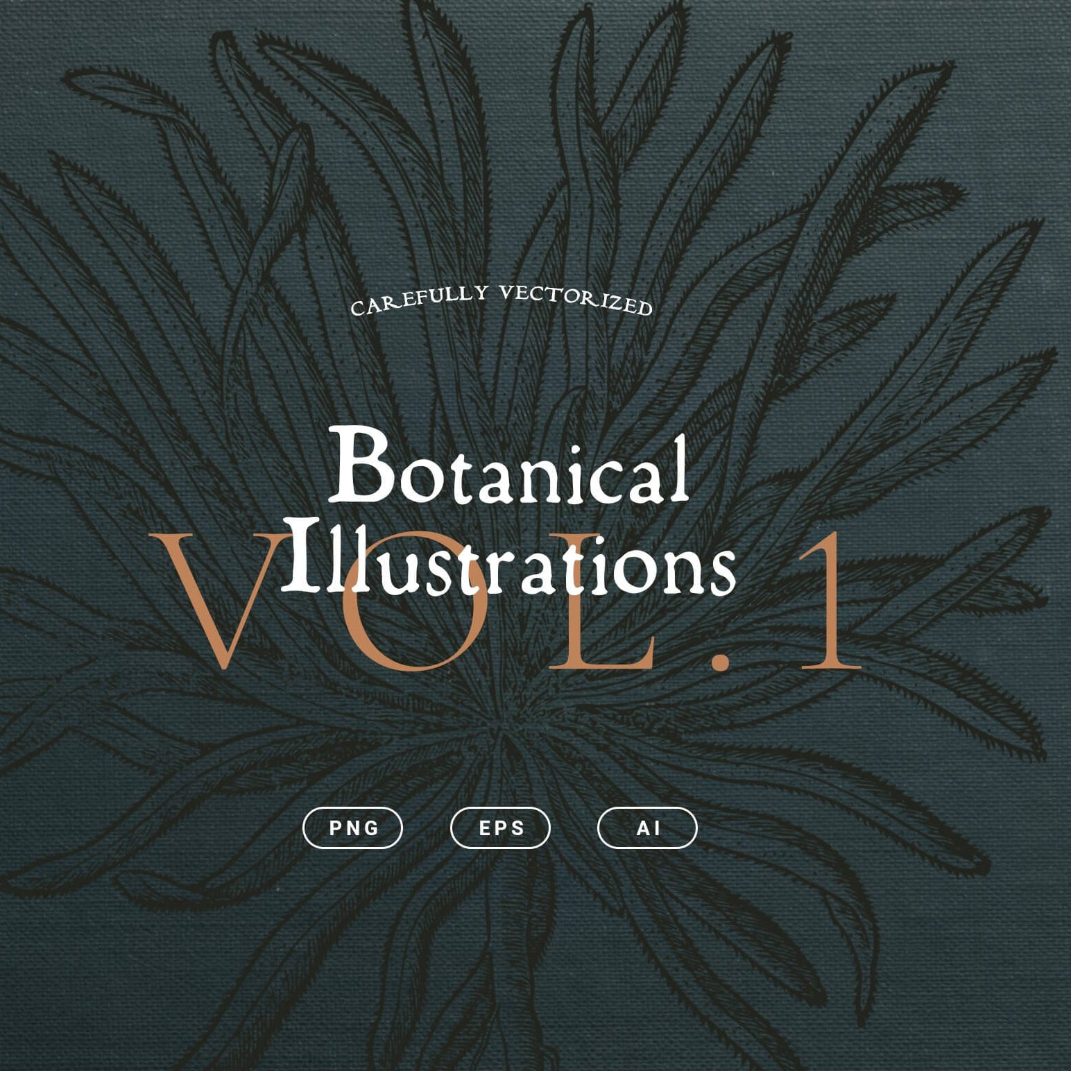 Botanical Illustrations Vol.01 - Nomad Visuals 1.jpg
