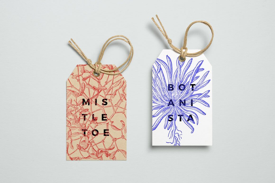 Botanical Illustrations Vol.01 - Nomad Visuals 3.jpg