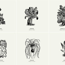 Botanical Illustrations Vol.01 - Nomad Visuals 3.jpg