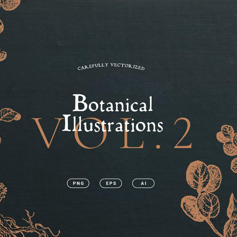 Botanical Illustrations Vol.02 - Nomad Visuals 1.jpg