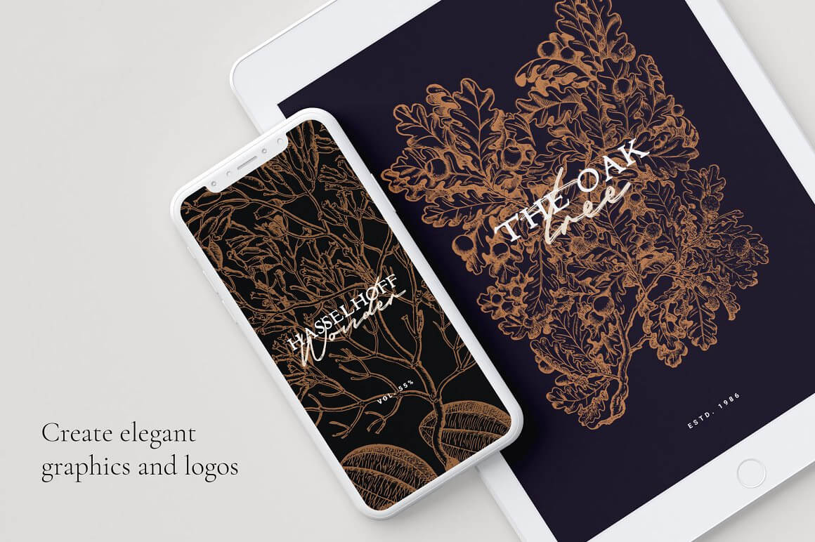 Botanical Illustrations Vol.02 - Nomad Visuals 3.jpg