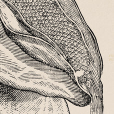 Botanical Illustrations Vol.03 - Nomad Visuals 1.jpg