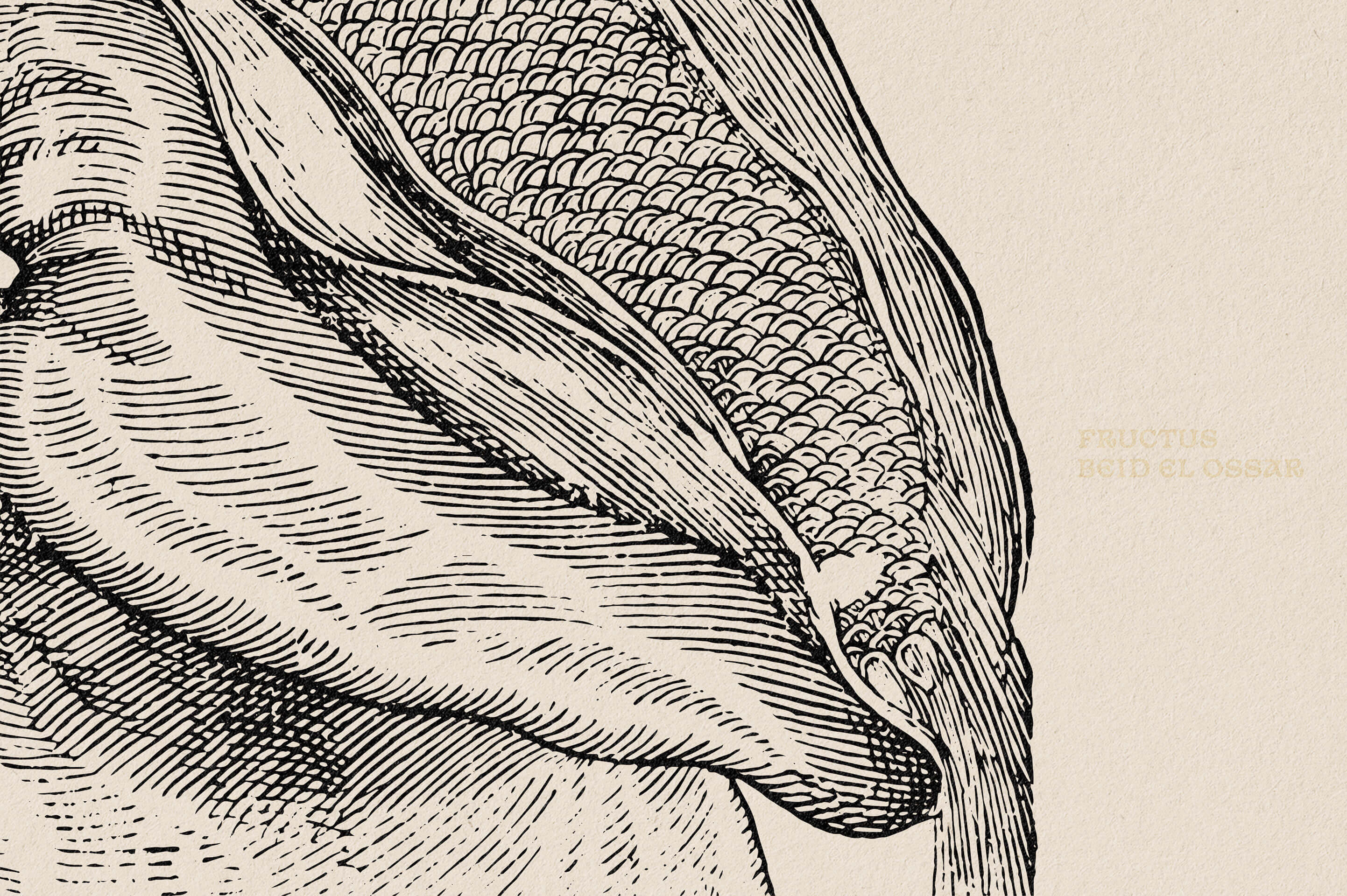 Botanical Illustrations Vol.03 - Nomad Visuals 1.jpg