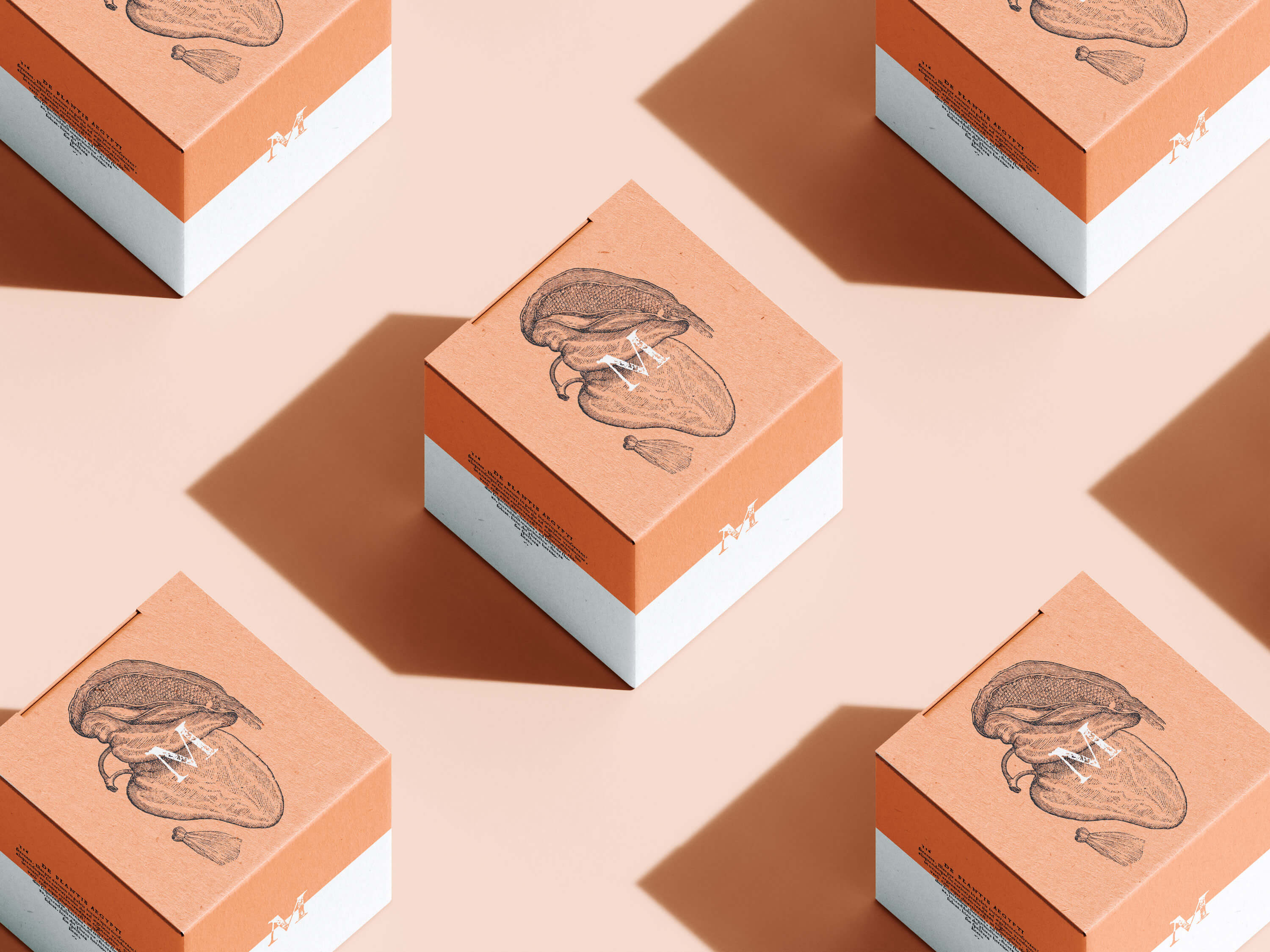 Botanical Illustrations Vol.03 - Nomad Visuals 2.jpg