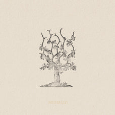 Botanical Illustrations Vol.03 - Nomad Visuals 5.jpg
