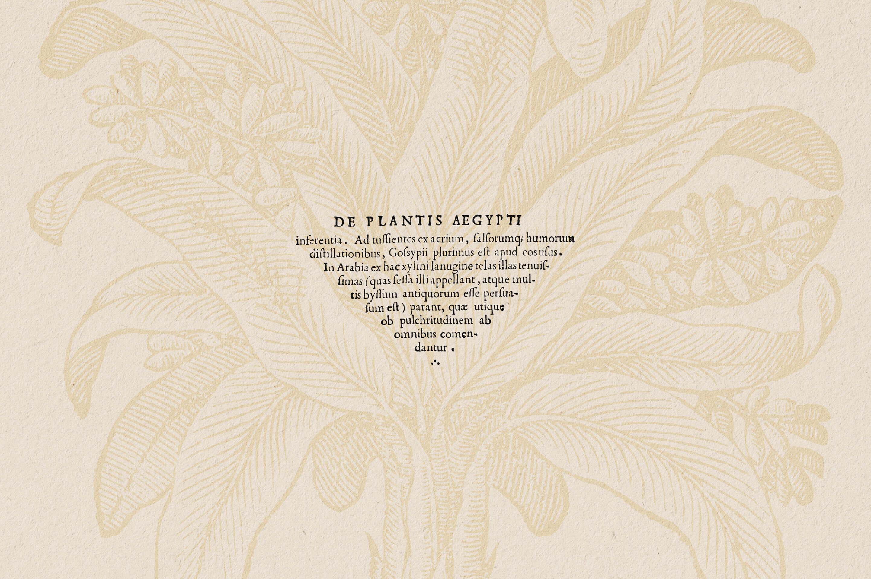 Botanical Illustrations Vol.03 - Nomad Visuals 6.jpg