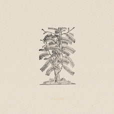 Botanical Illustrations Vol.03 - Nomad Visuals 9.jpg