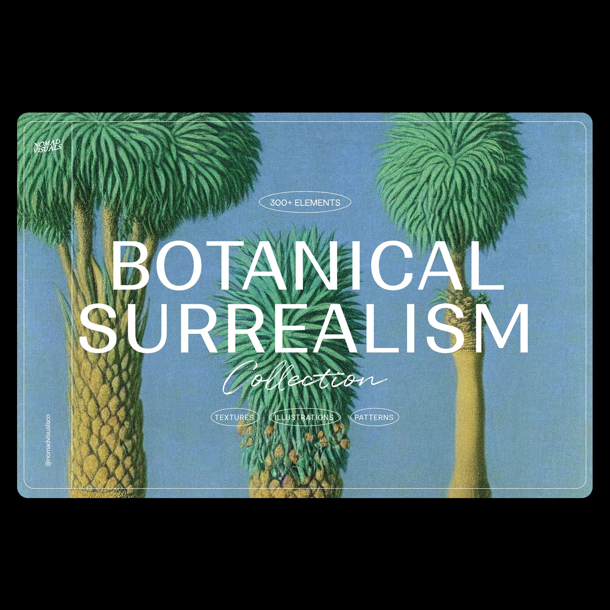 Botanical Surrealism - Nomad Visuals 1.jpg