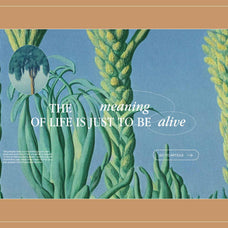 Botanical Surrealism - Nomad Visuals 14.jpg