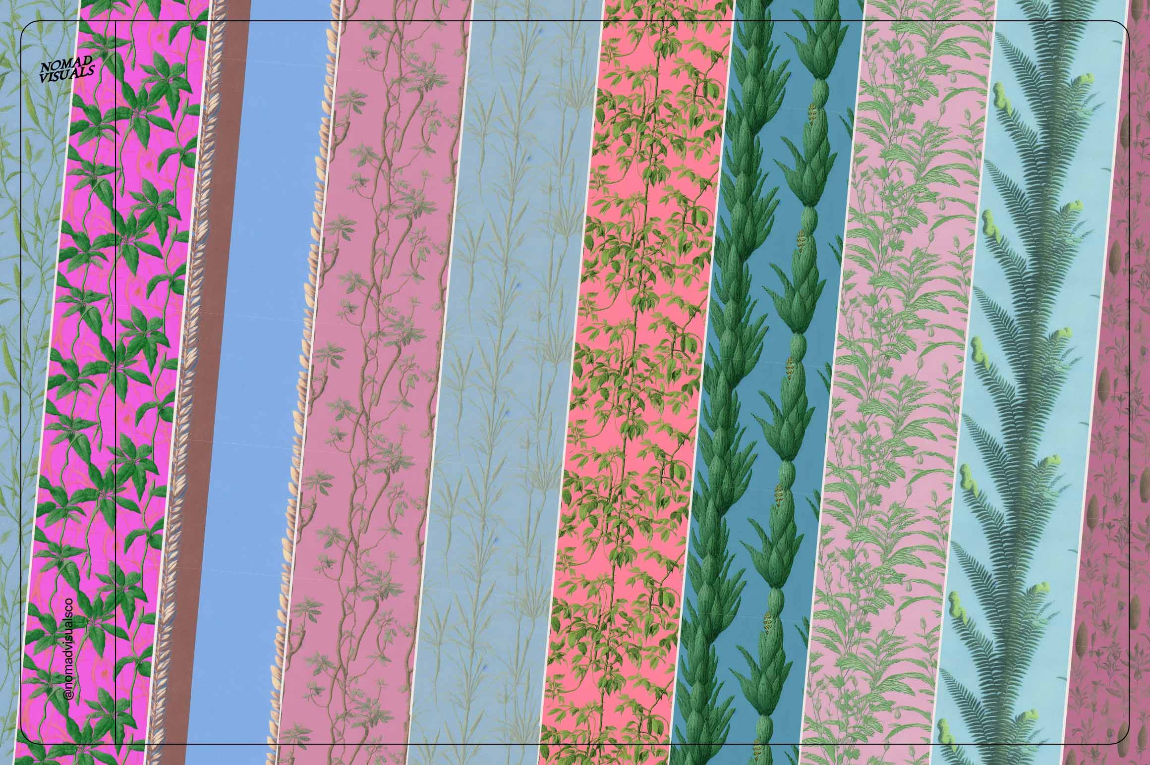 Botanical Surrealism - Nomad Visuals 18.jpg