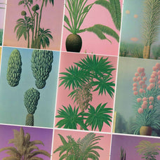 Botanical Surrealism - Nomad Visuals 1.jpg